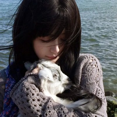 危险女婿